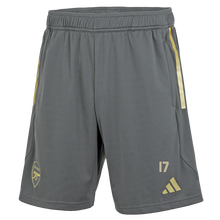 Arsenal 23/24 Grey Training Shorts
